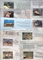 Booklet Stamps of Kuwait Scientific Centre 2002 - Image 3