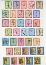 Desert Flowers & Plants 1983